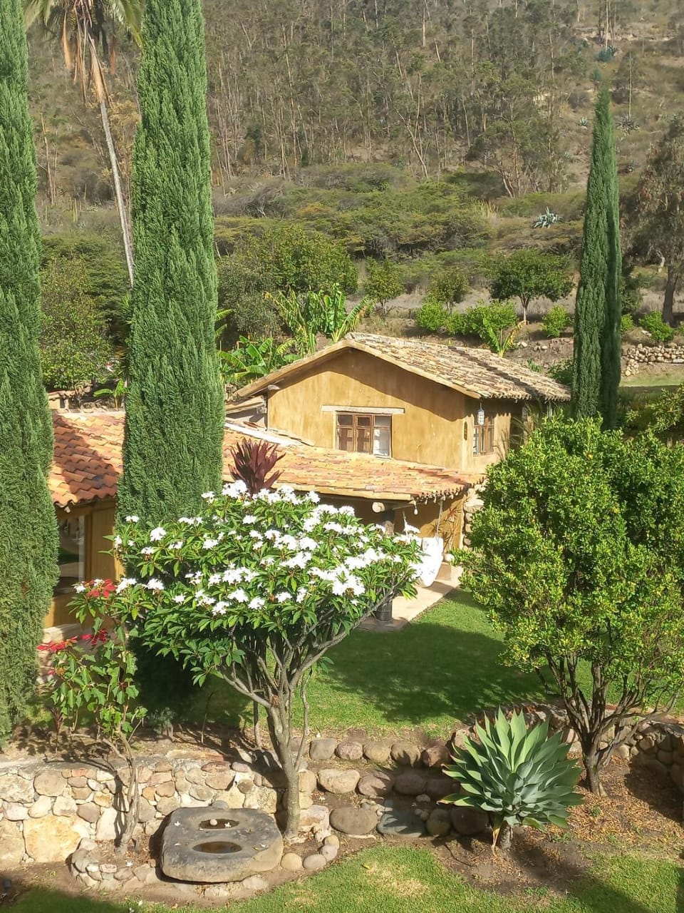 Property building, Garden view