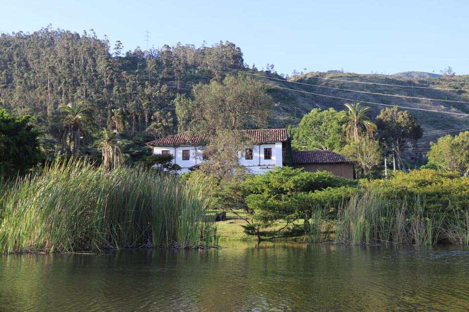 Property building, Natural landscape, Garden