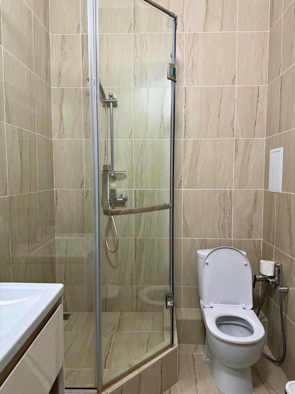 Shower, Toilet, bidet