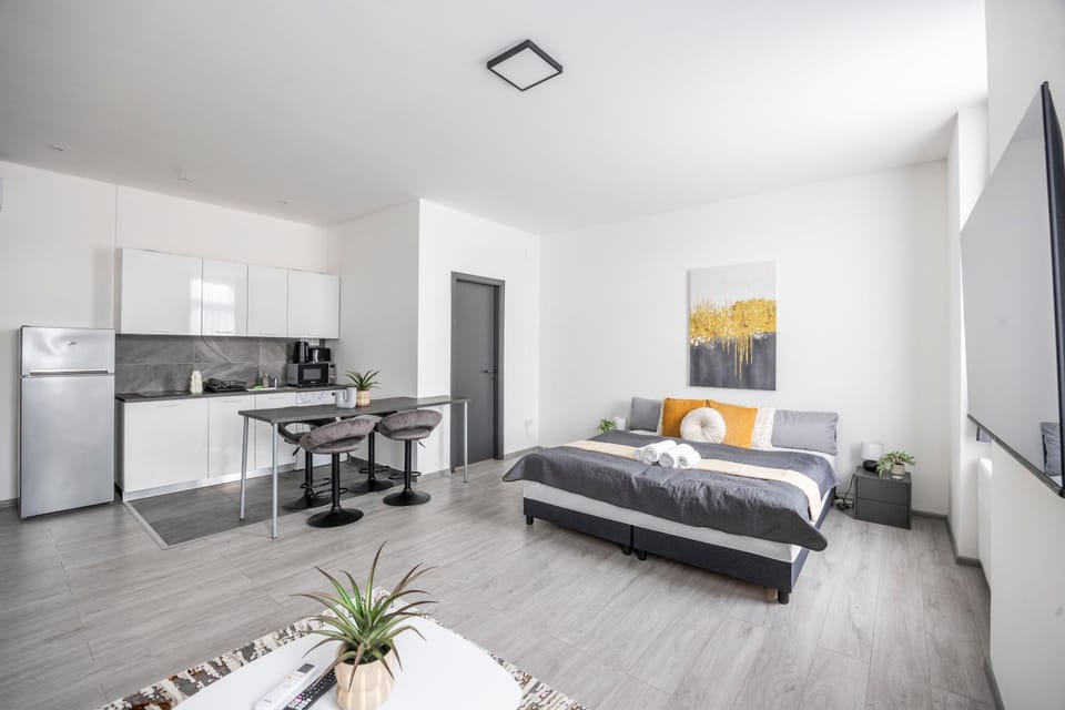 Bed, Kitchen or kitchenette, Living room, Photo of the whole room, Seating area, Dining area, Bedroom, stove