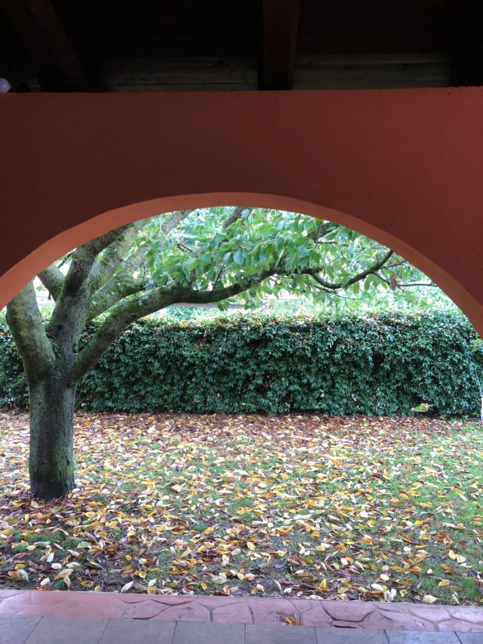 Day, Natural landscape, Garden, Garden view