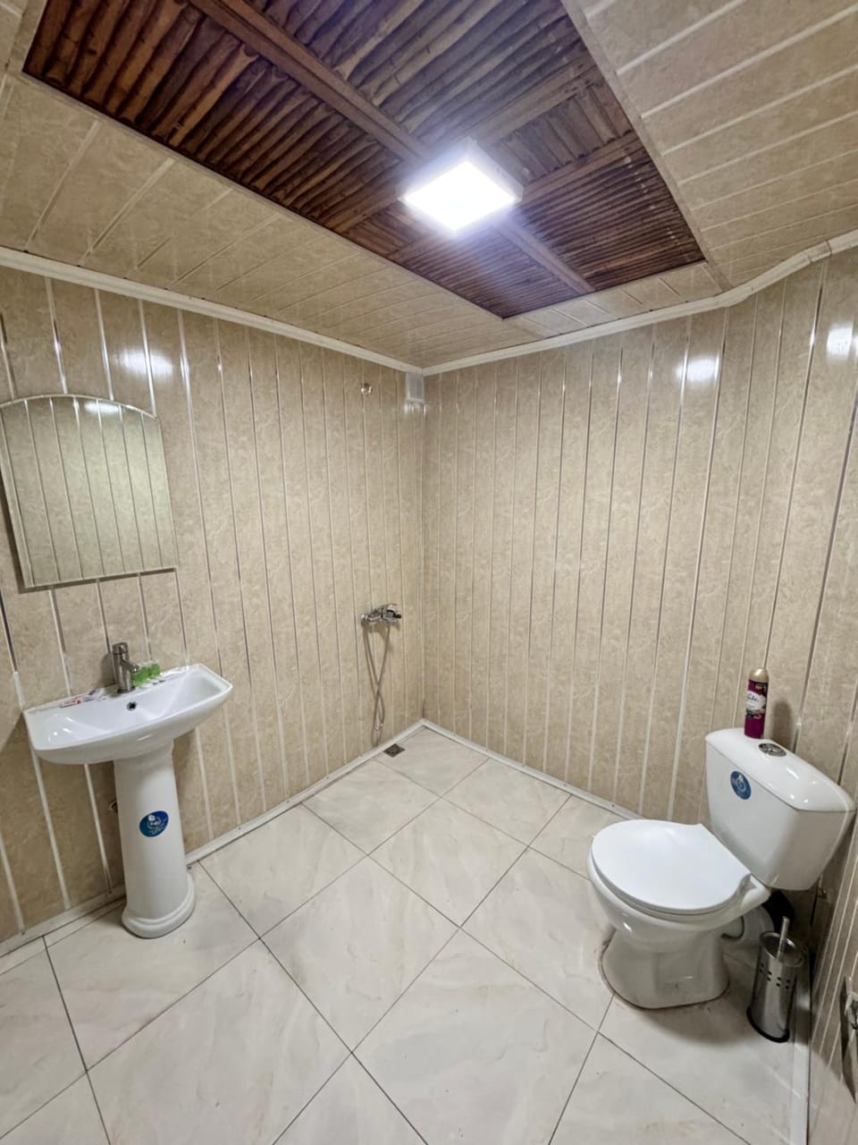Shower, Toilet