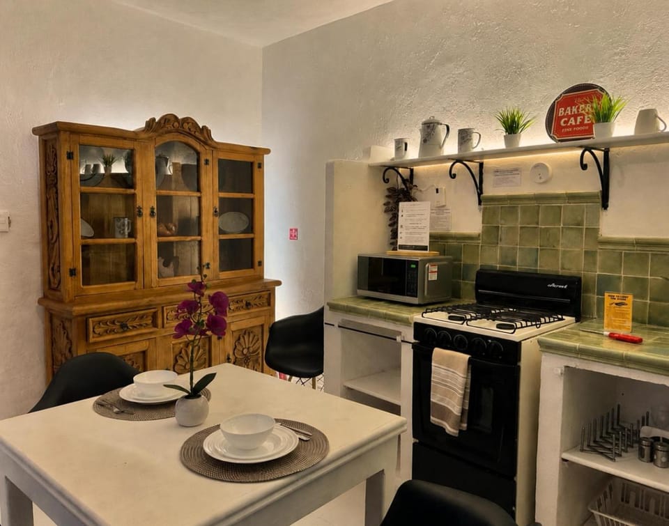 Cozy loft in downtown San Miguel de Allende Apartment in San Miguel de Allende