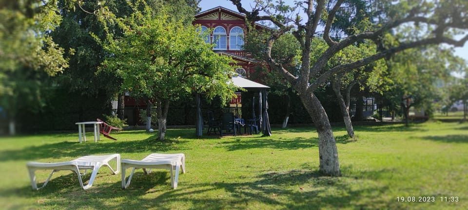 View (from property/room)