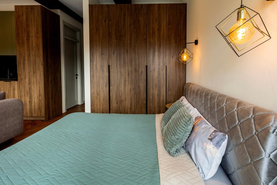 Studio Nemuno 27 Apartment in Lithuania