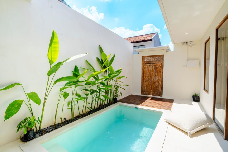 Day, Garden, Swimming pool