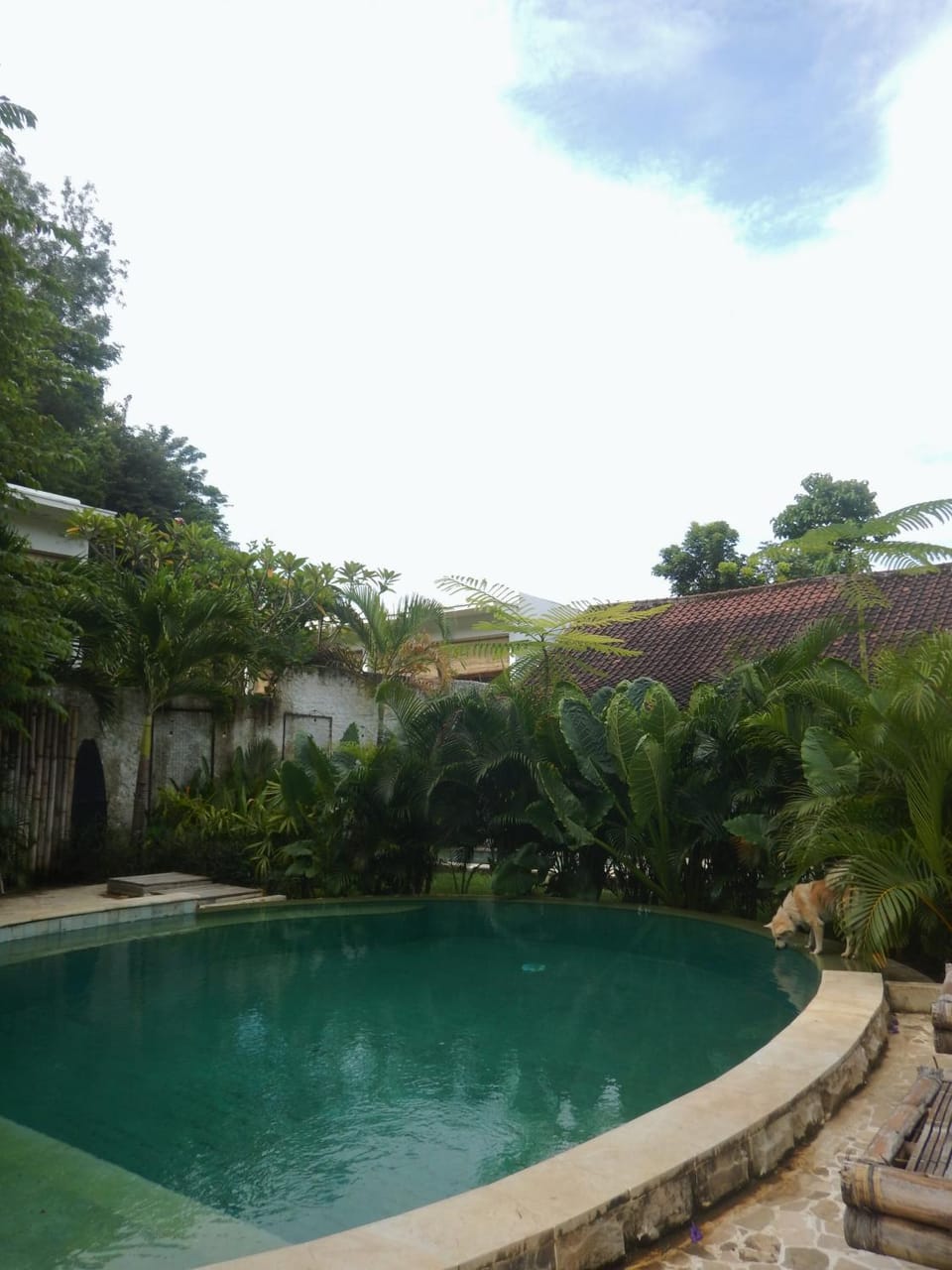 Garden view, Swimming pool