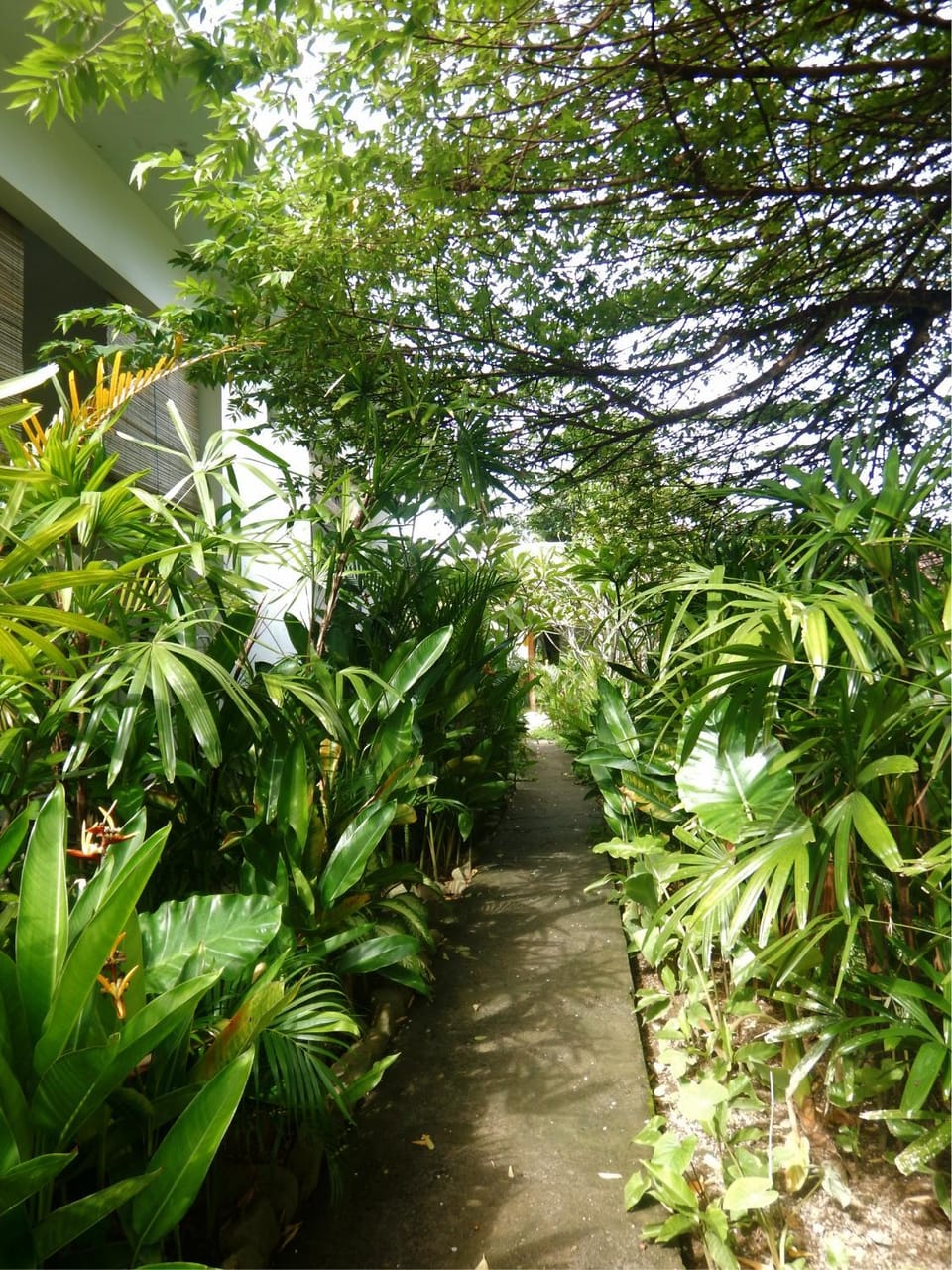 Garden, Garden, Garden view, Garden view, Area and facilities