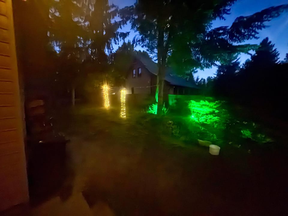 Garden view
