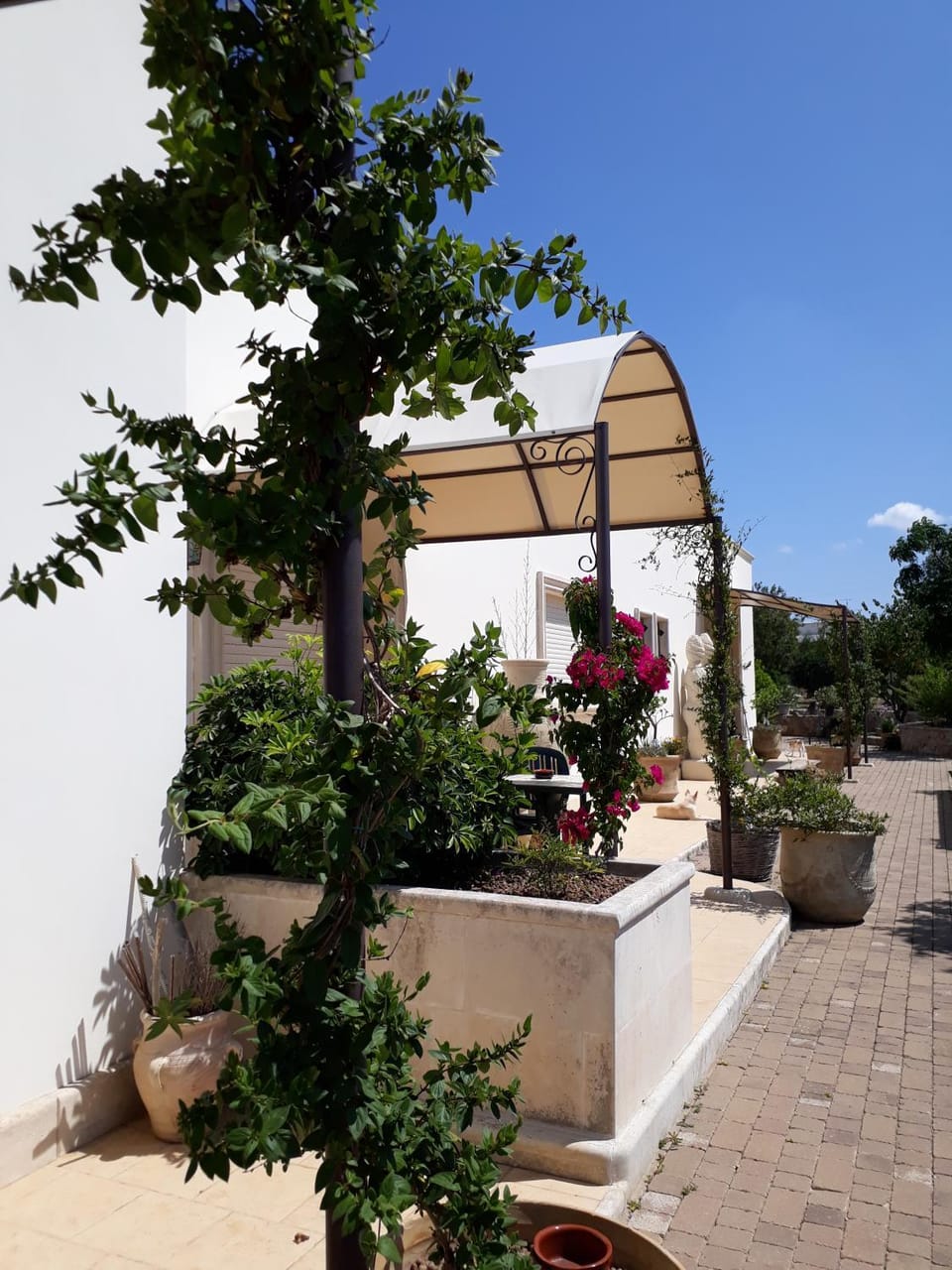 Facade/entrance, Bed, Day, Natural landscape, Summer, Garden, Decorative detail, Floor plan, On site, Garden view