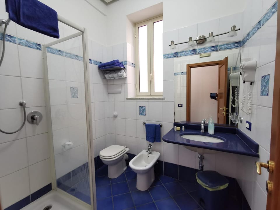 Shower, Toilet, Bathroom, bidet, hair dryier, towels
