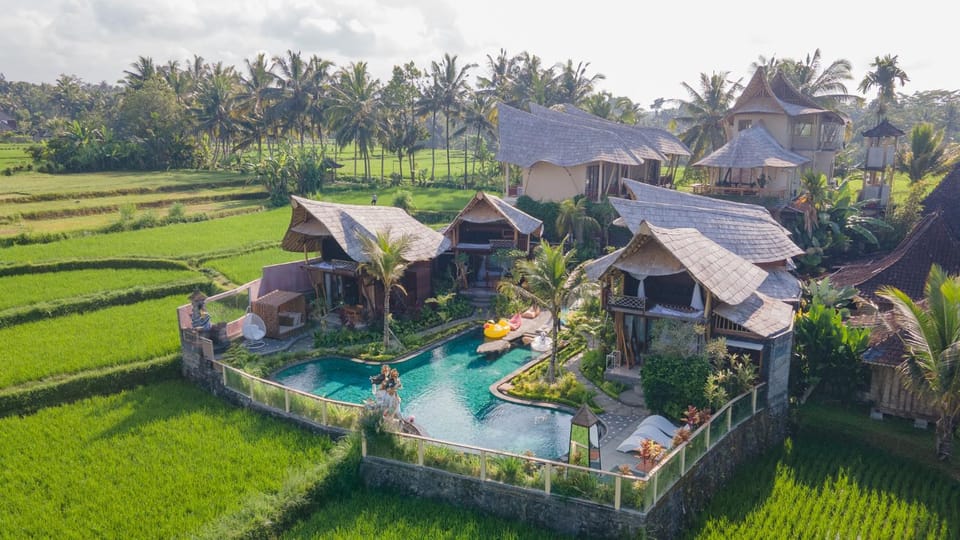 Property building, Spring, Day, Natural landscape, Garden, Garden view, Pool view, Swimming pool
