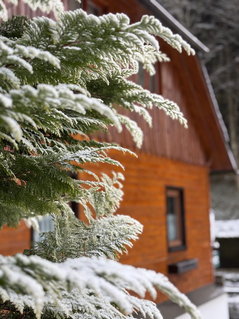 Property building, Winter