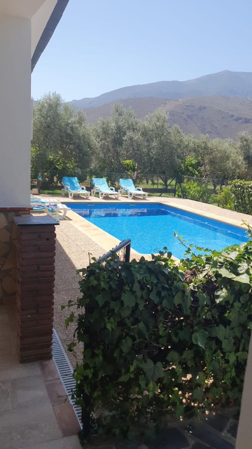 Mountain view, Swimming pool, sunbed