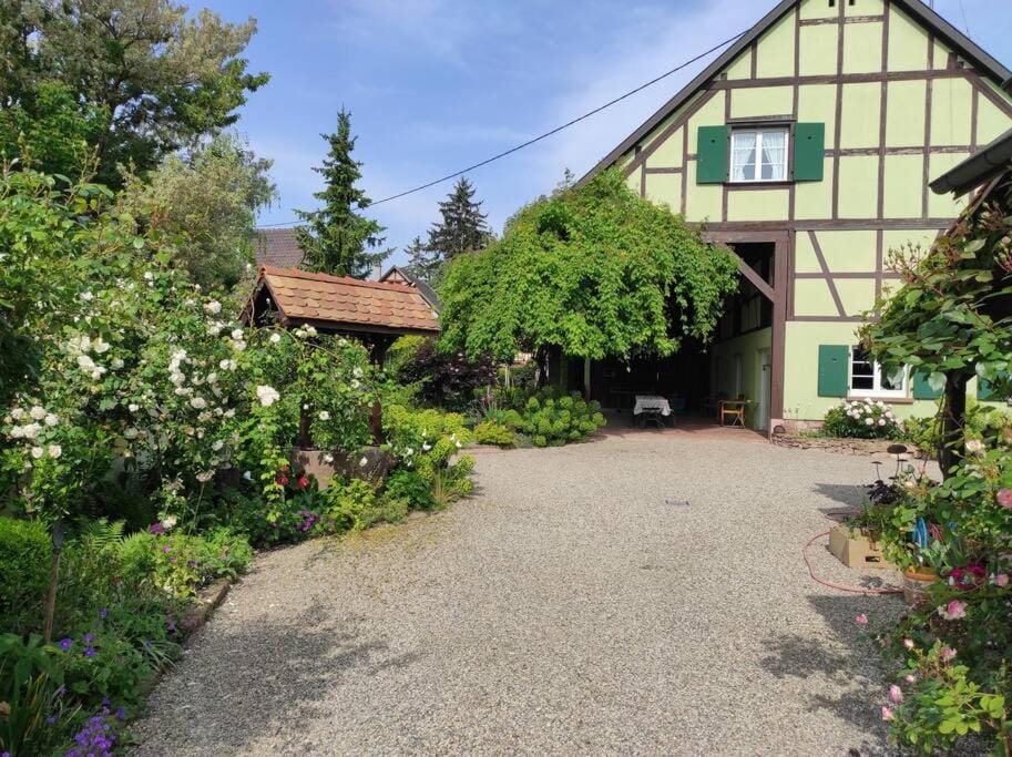 Property building, Garden view