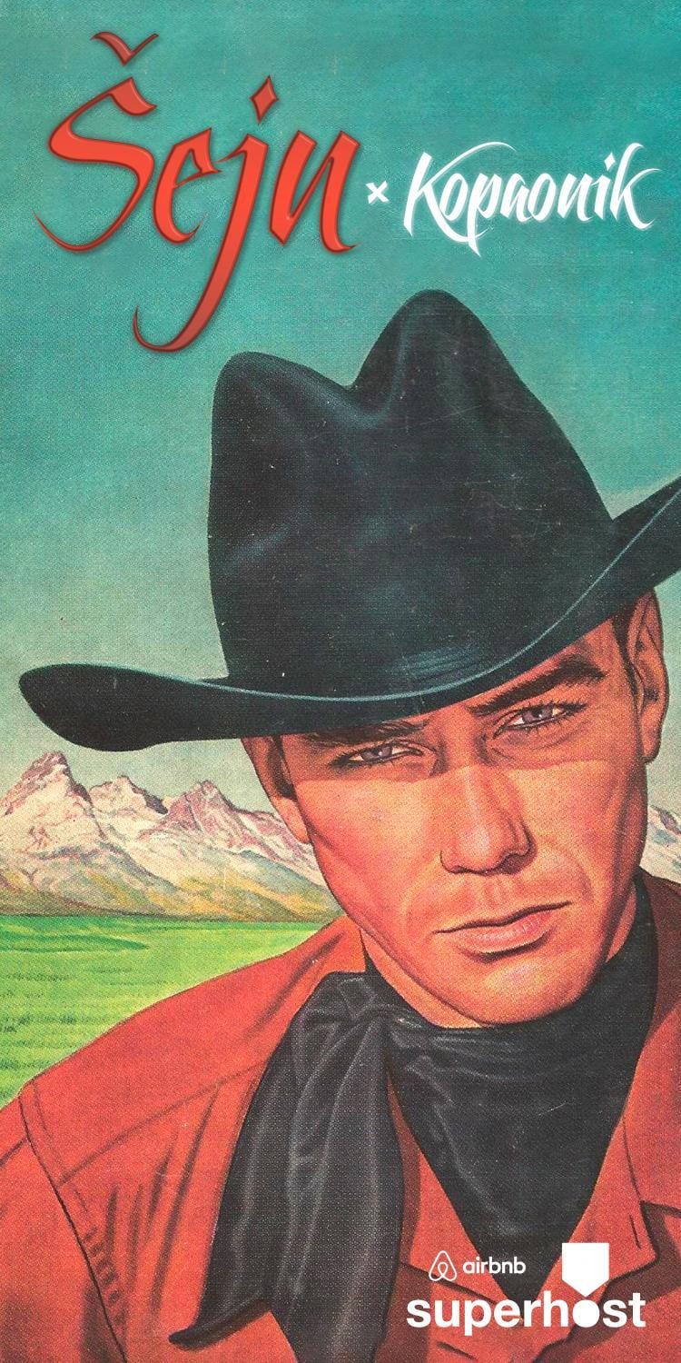 Guesthouse Šejn House in Serbia