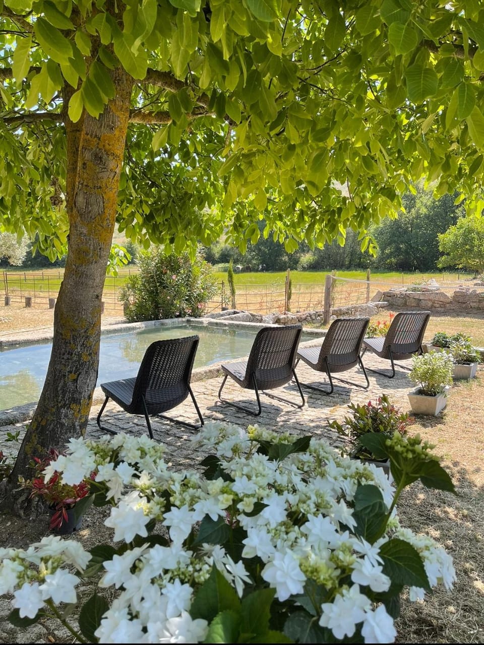 Natural landscape, Garden, Garden view, Swimming pool, sunbed