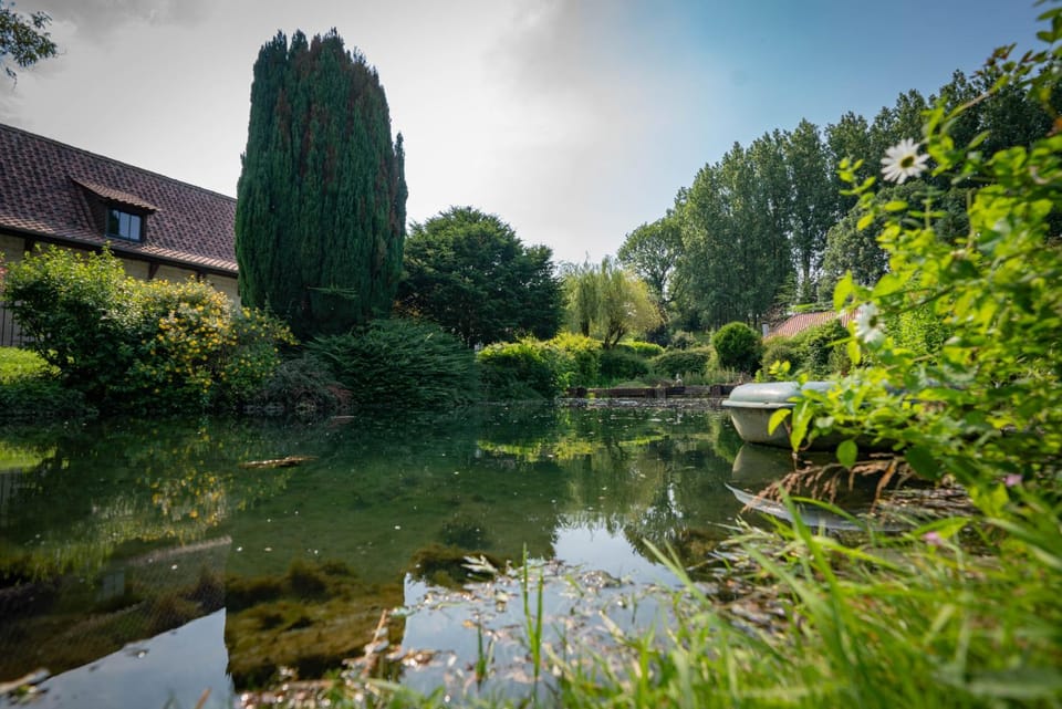Garden, Lake view