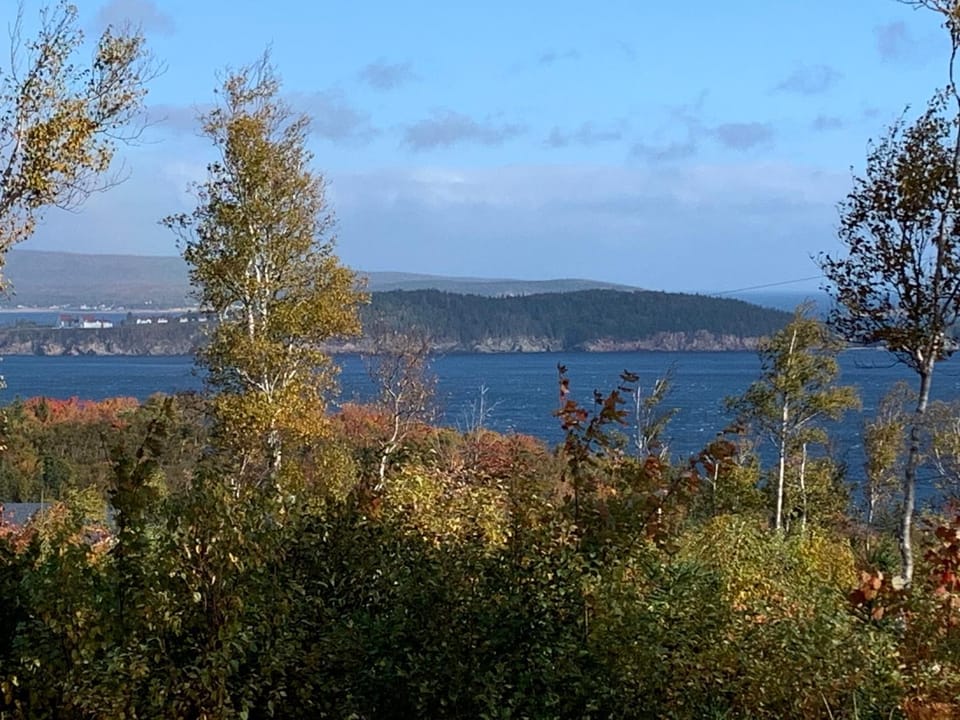 View (from property/room)