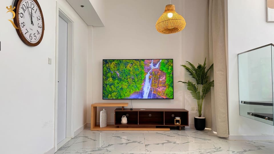TV and multimedia