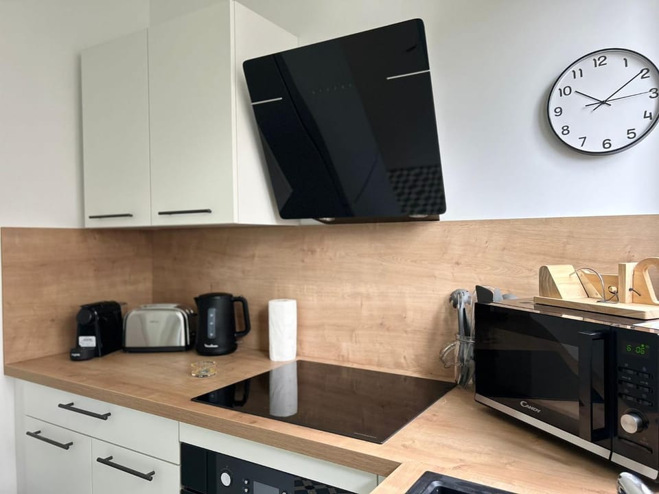 Le Grand Emailleur, authentique avec balcons Apartment in Limoges