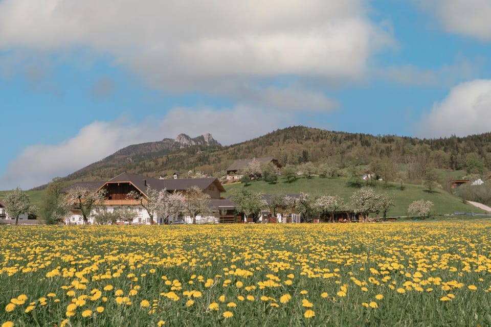 Property building, Spring, Natural landscape, Mountain view