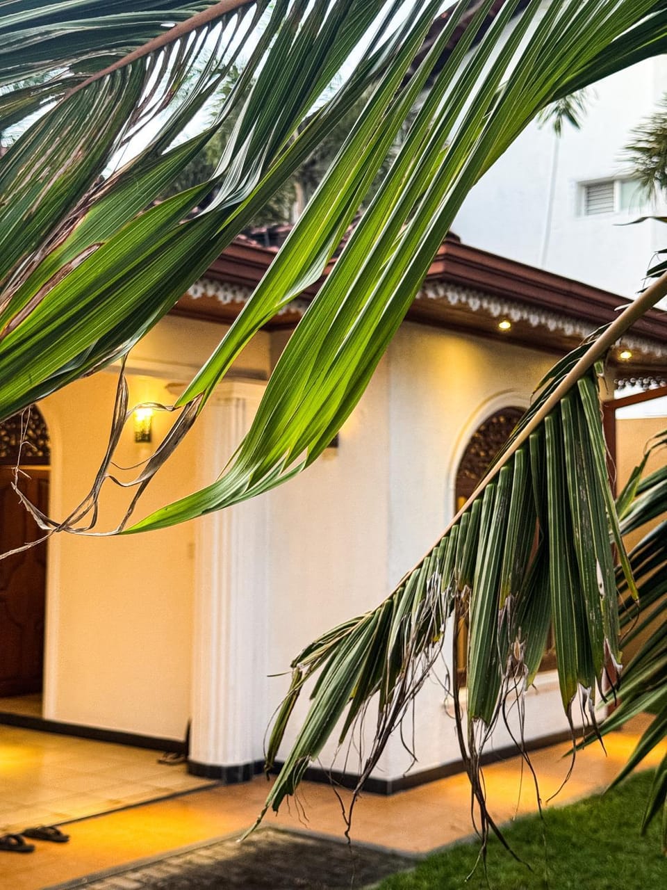 Property building, Garden, Garden view