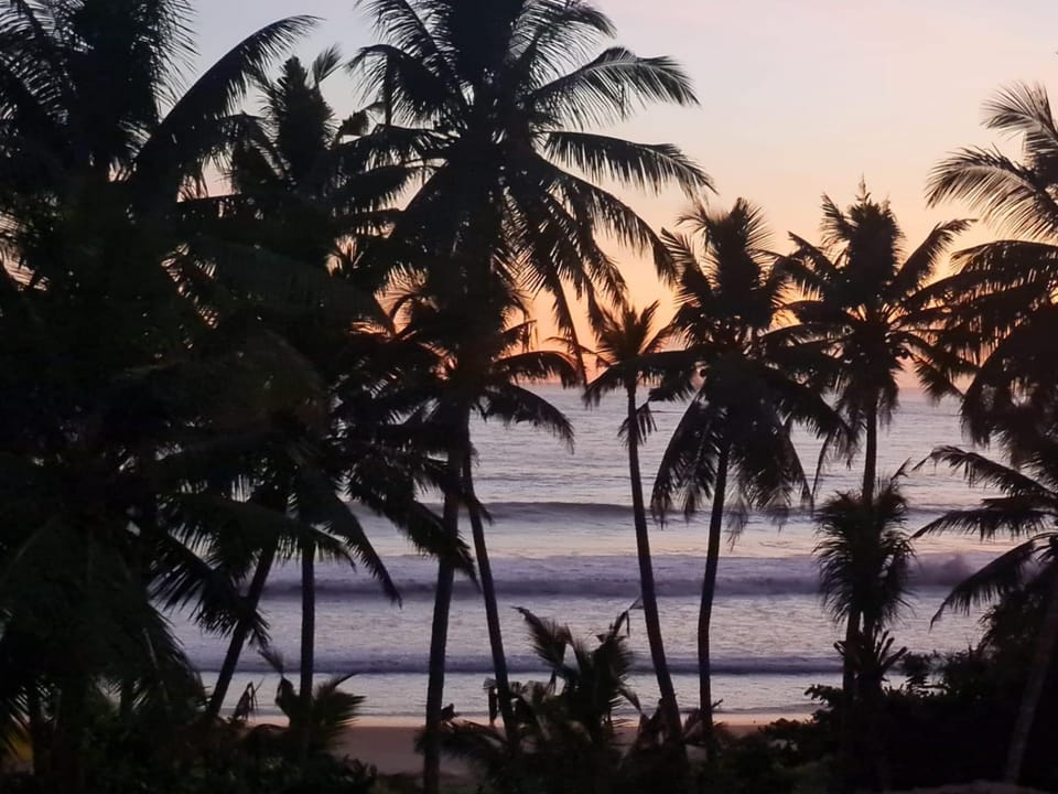 Natural landscape, Beach, Sunset