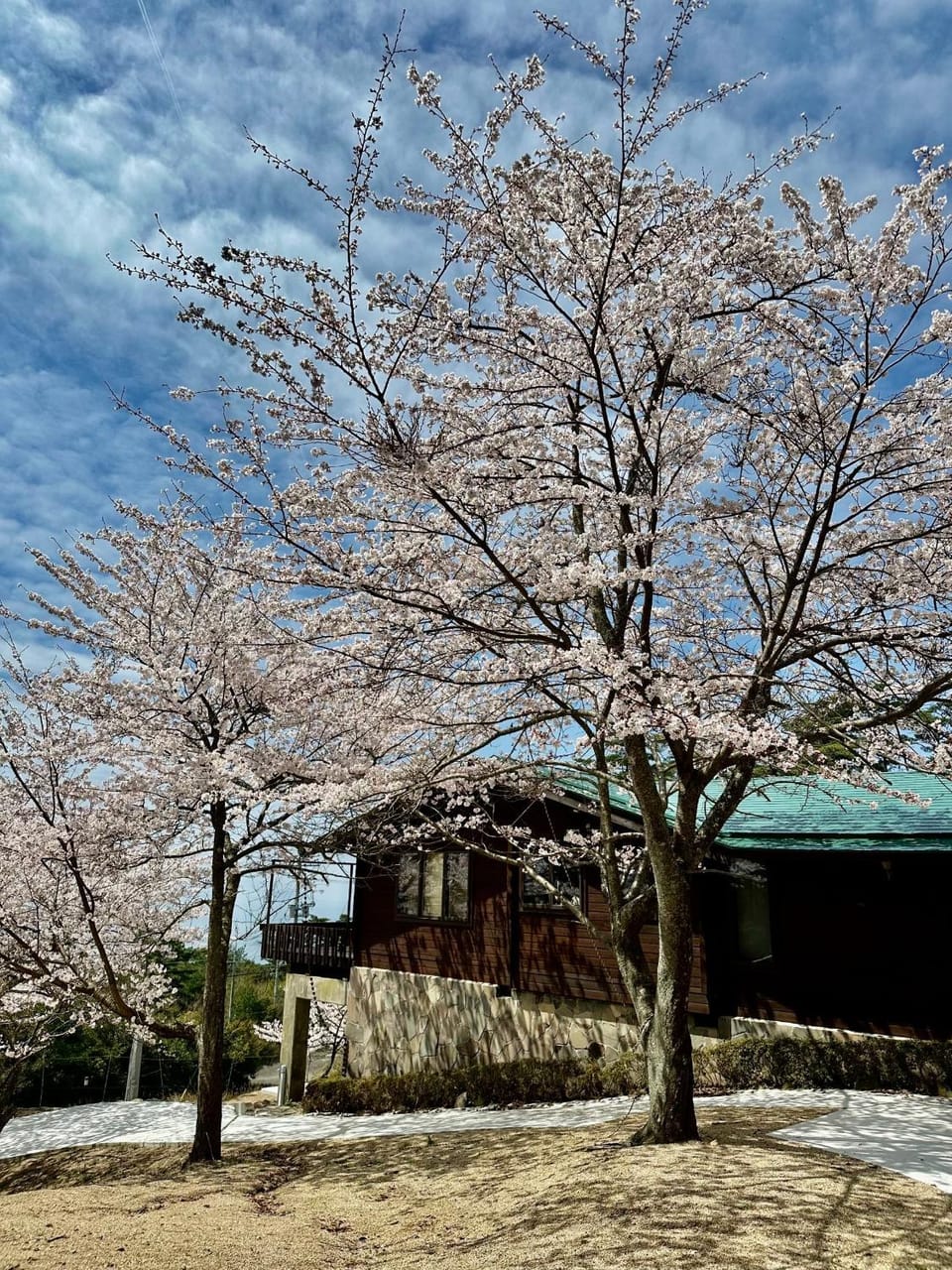 Property building, Spring, Day