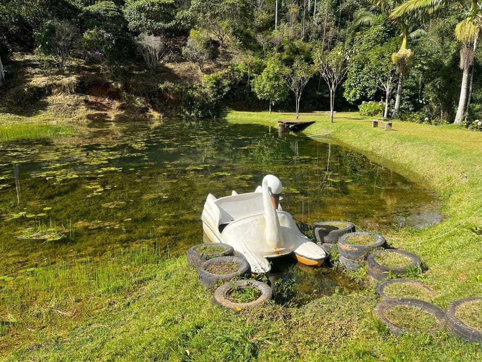 Lake view