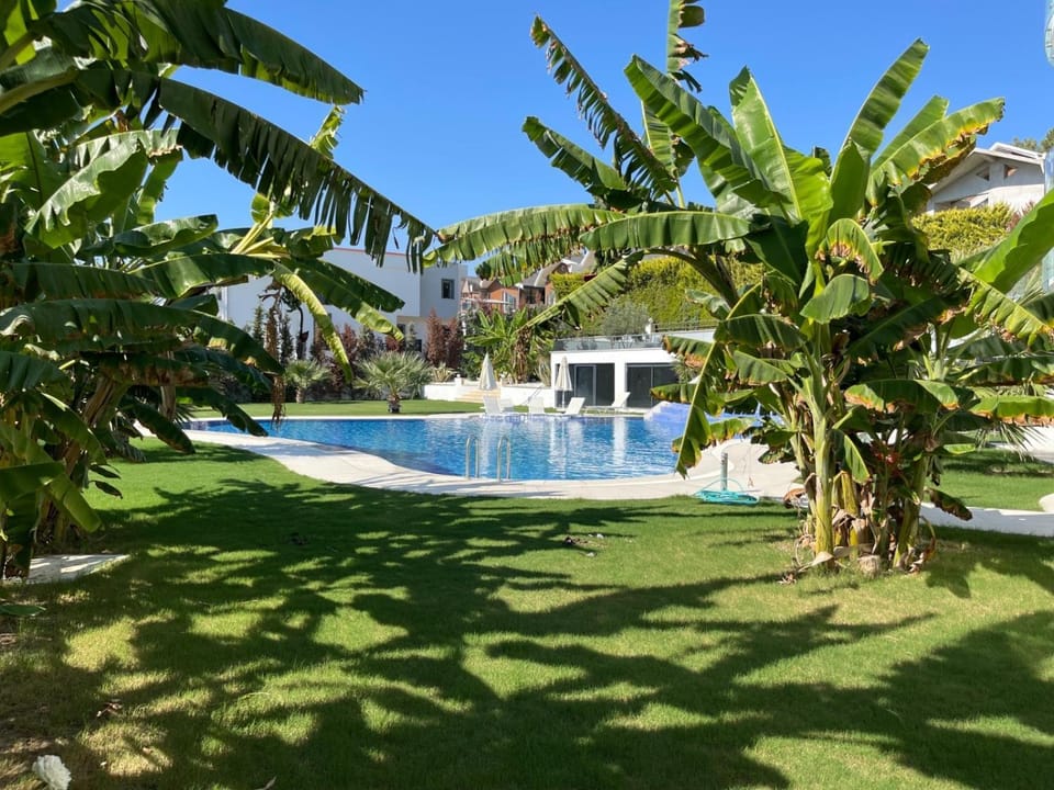 Pool view, Swimming pool