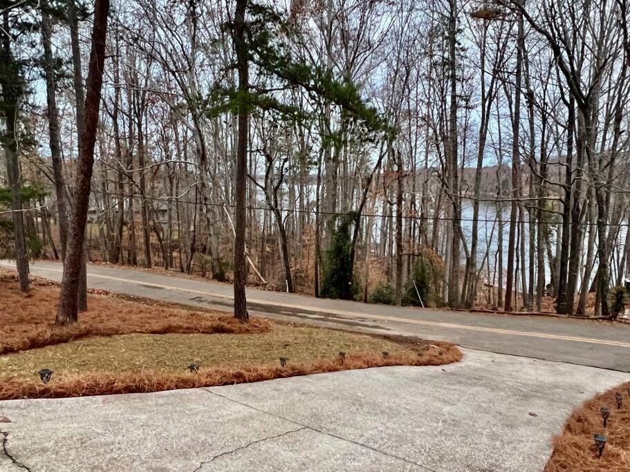 Lake view