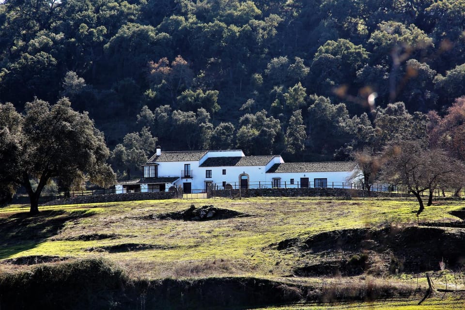 Property building, Off site, Mountain view, River view