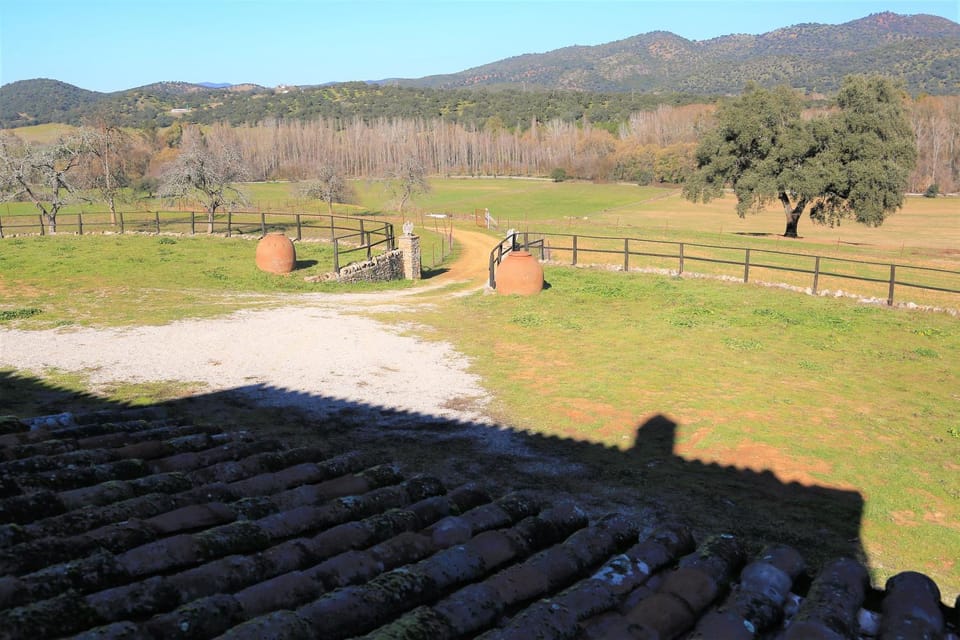 Property building, Off site, Mountain view, River view