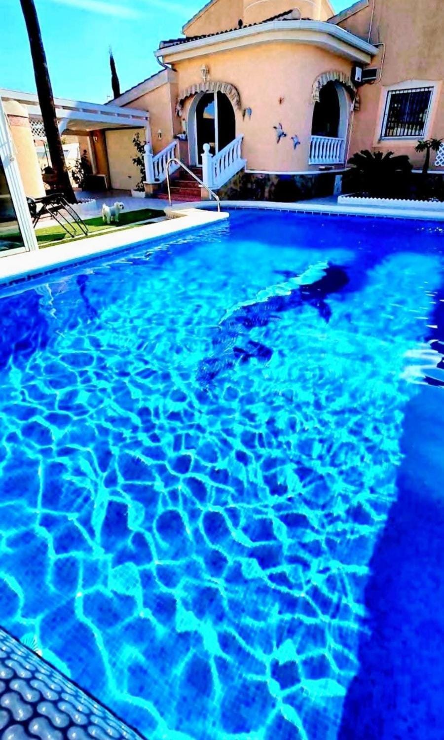 Casa Valdi, fantastic 4 bedroom house with private,heated swimming pool and barbecue House in Vega Baja del Segura