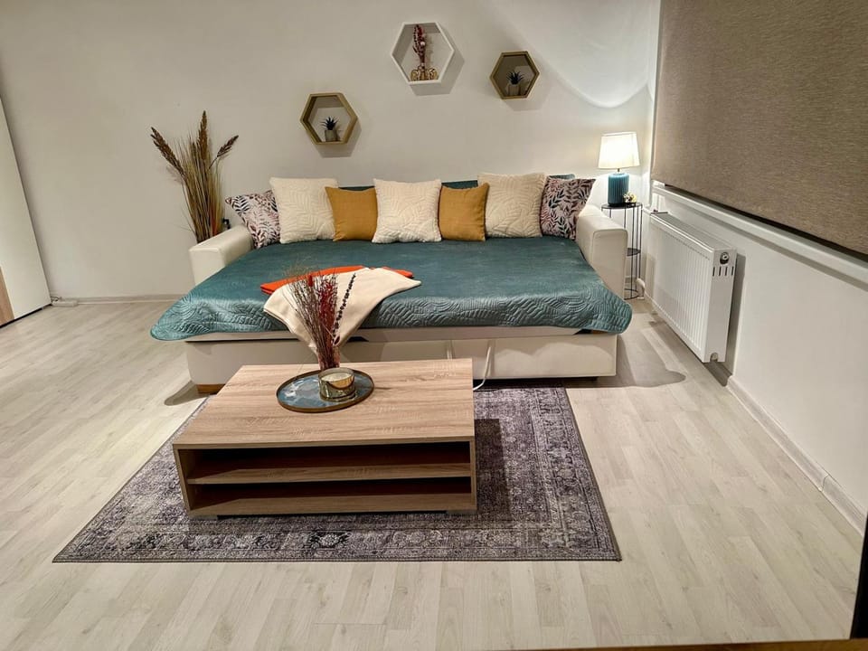 Saule Apartment in Latvia