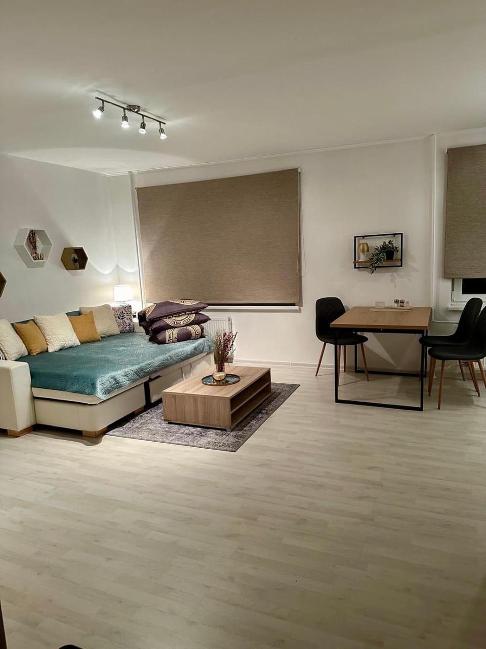 Saule Apartment in Latvia