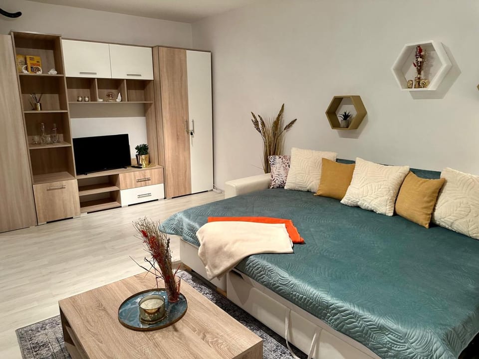 Saule Apartment in Latvia