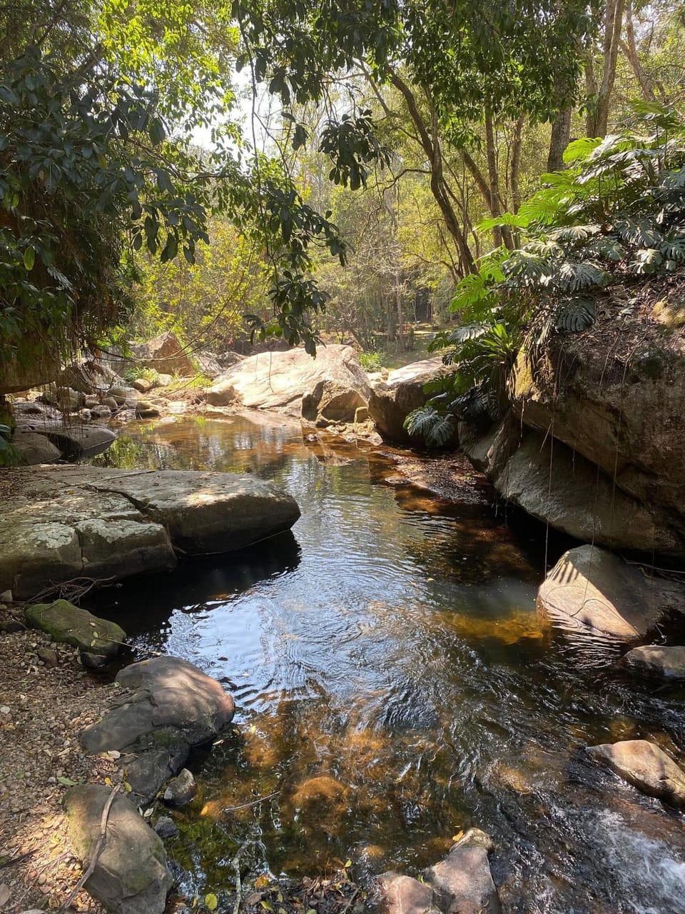 River view