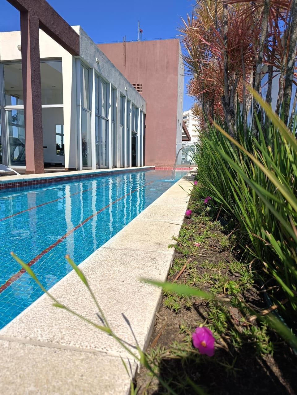 Pool view, Swimming pool