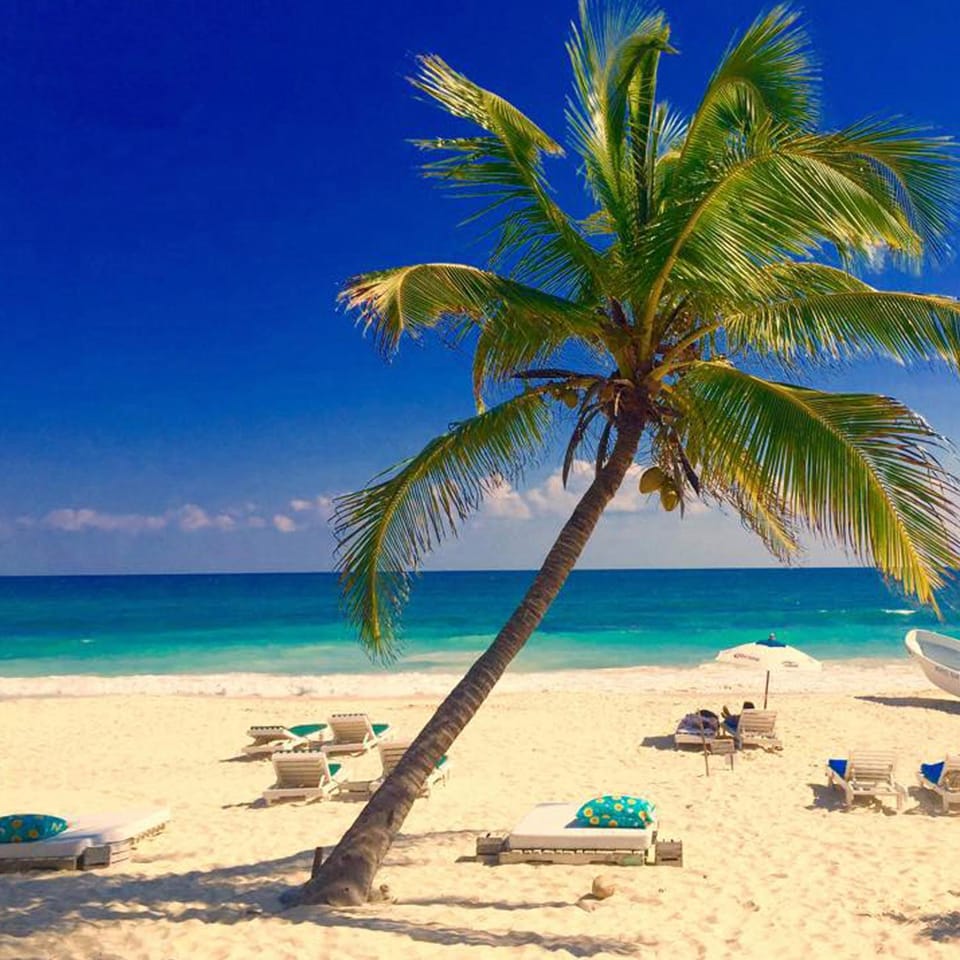 Natural landscape, Beach, Sea view, sunbed