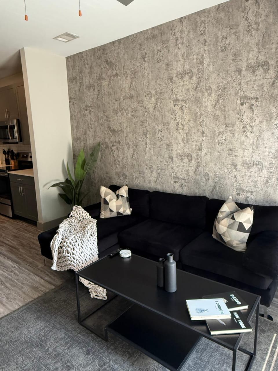 Large Buckhead modern suite Apartment in Buckhead