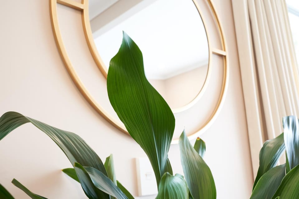 Stylish City Pad Luxe, Comfy, Central Apartment in Dunedin