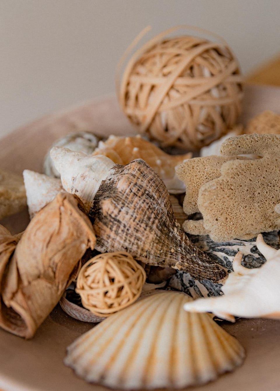 Bicheno Sands-space and the sea House in Bicheno