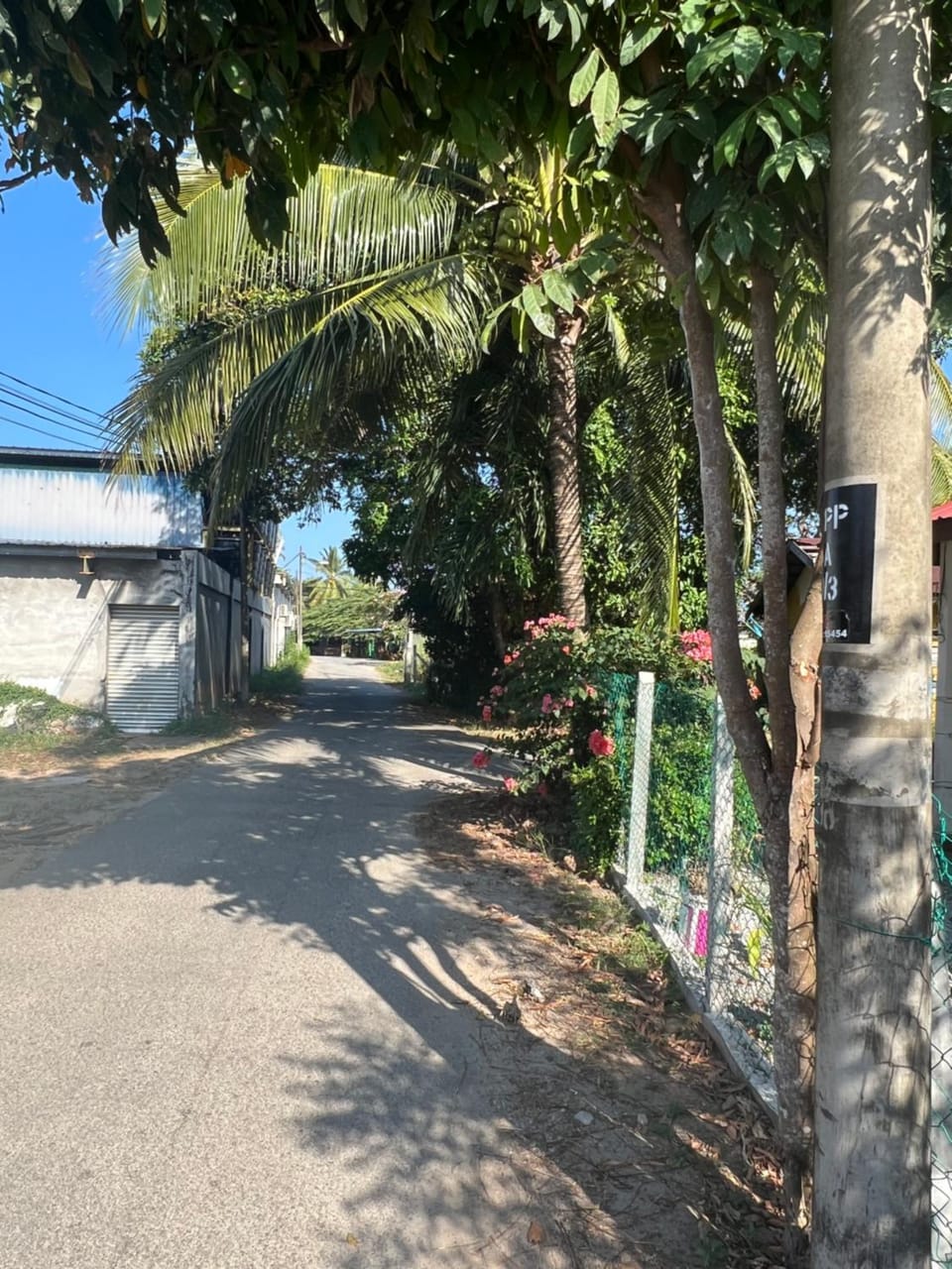 Quiet street view