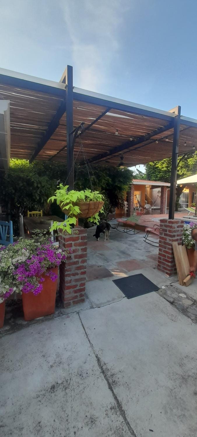 Garden view