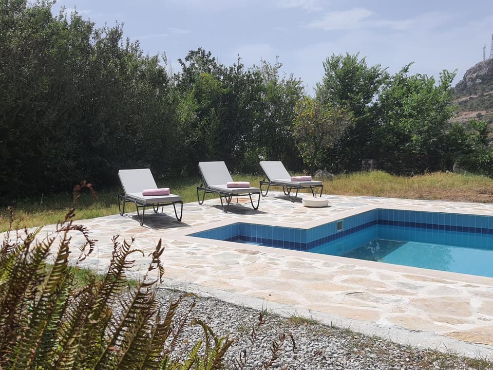 Garden, Swimming pool, Swimming pool