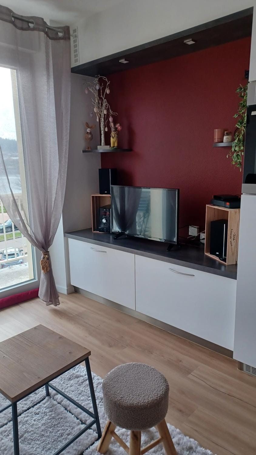 TV and multimedia