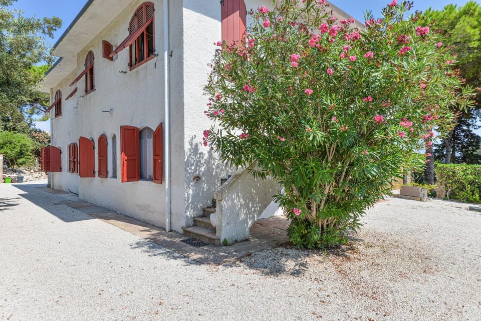 Property building, Spring, Garden view