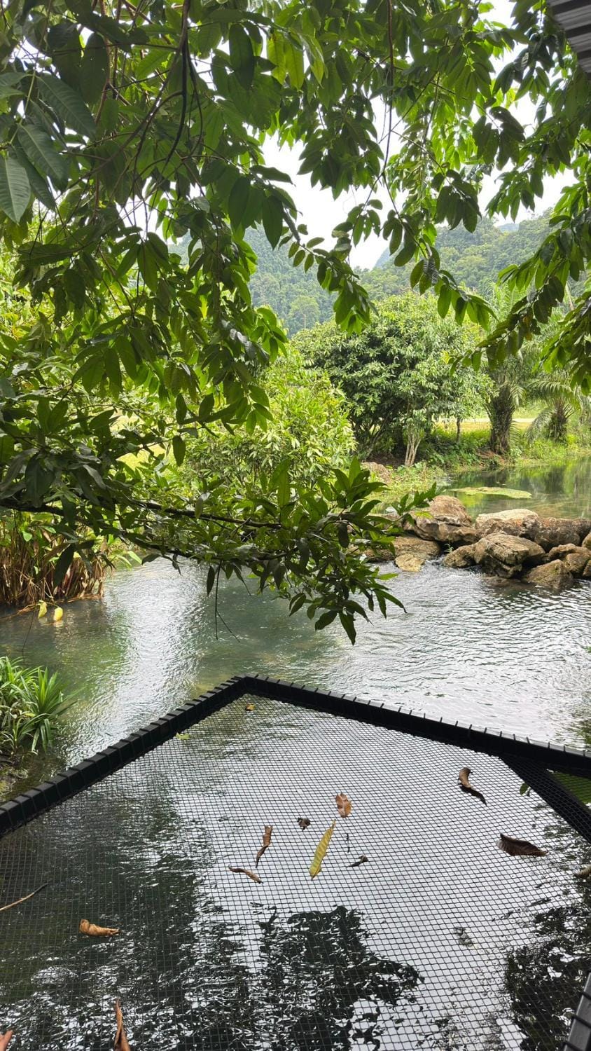 ธารคีรี รีสอร์ต สวนน้ำกำนัน Resort in Krabi Changwat